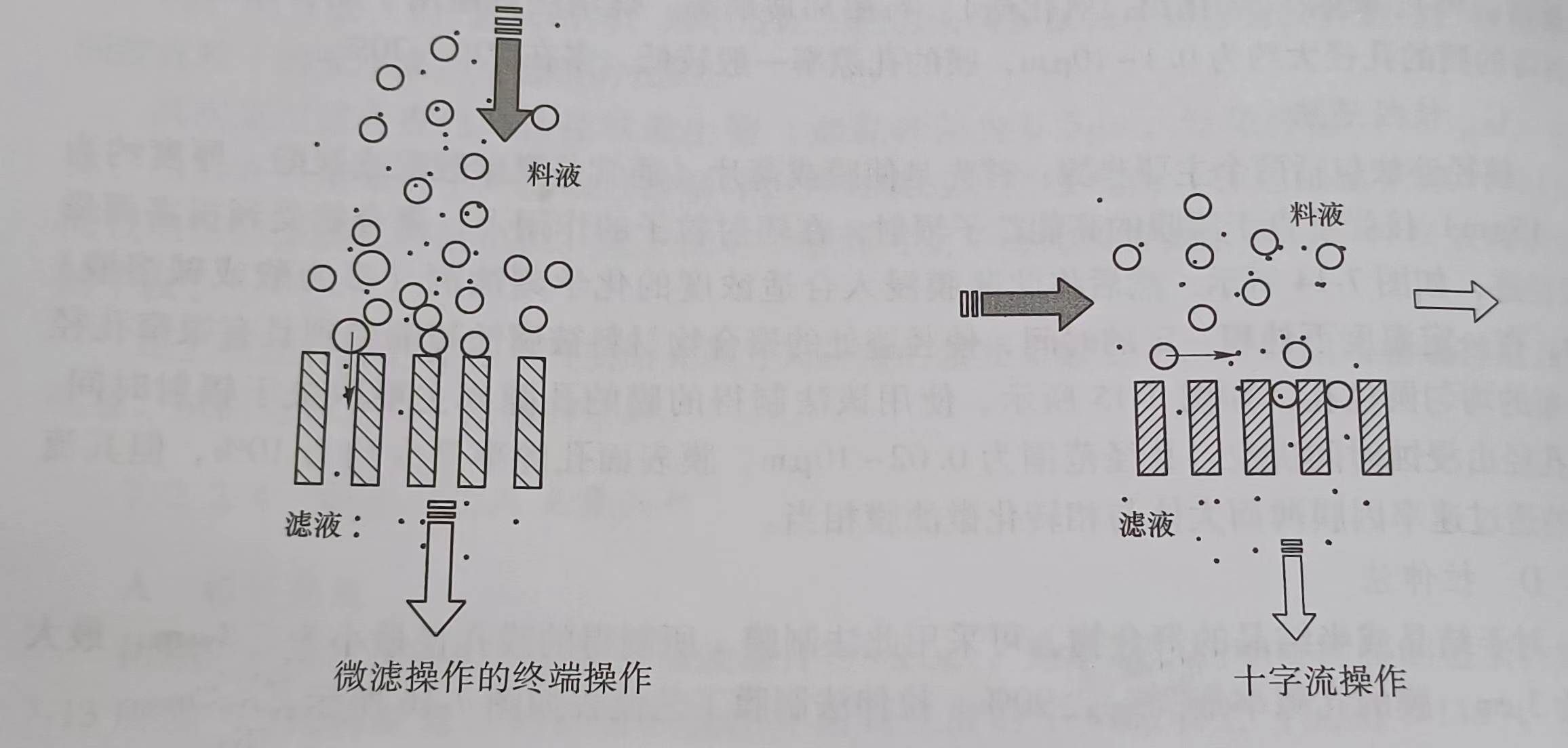 微孔濾膜的分離系統(tǒng)（什么是微孔濾膜的分離系統(tǒng)）